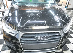 DSC 0844 1 | Self-Healing PPF results in Kerala