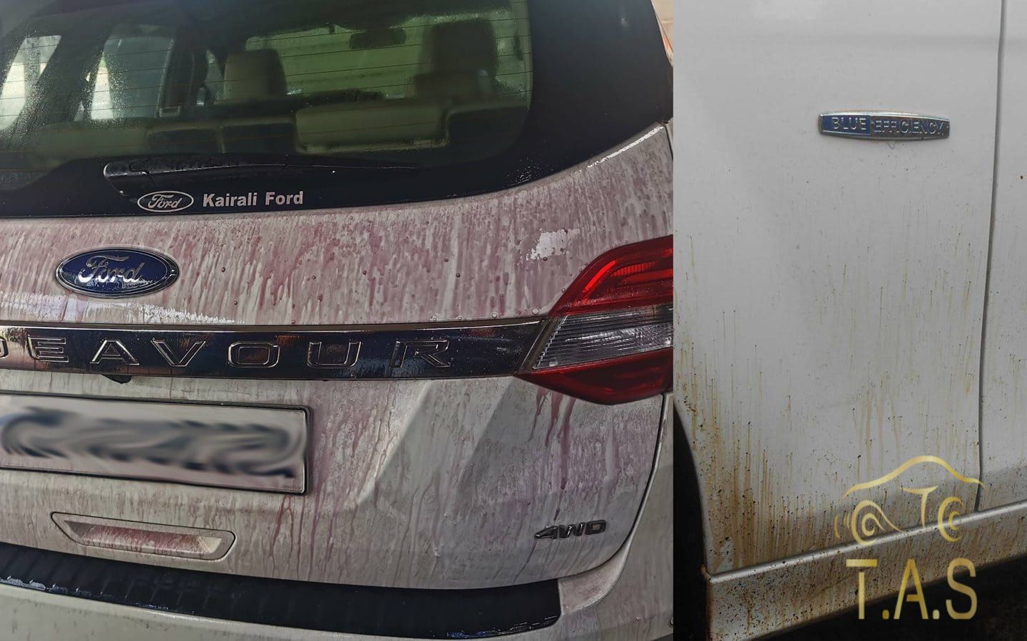 Decontamination & Tar Removal car detailing service in Trivandrum Kerala