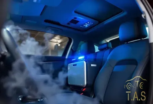 Anti-bacterial Treatment service in Trivandrum