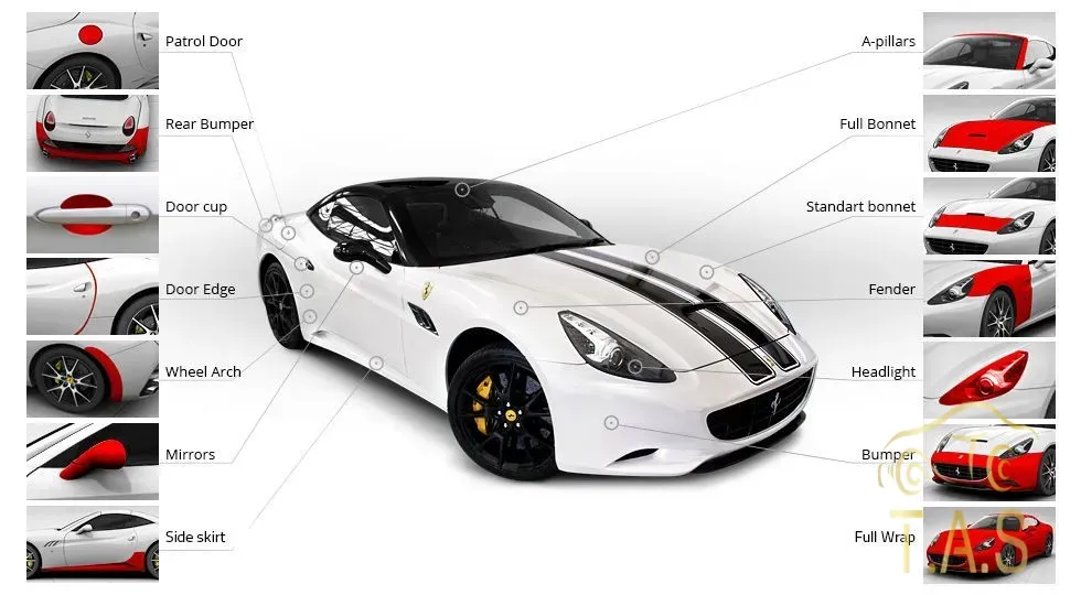 PPF coverage areas on a car — bumper, hood, fenders, mirrors, doors and roof | T.A.S Detailing Studio