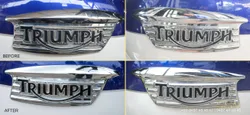 triumph logo | Bike & Bullet Detailing results in Kerala